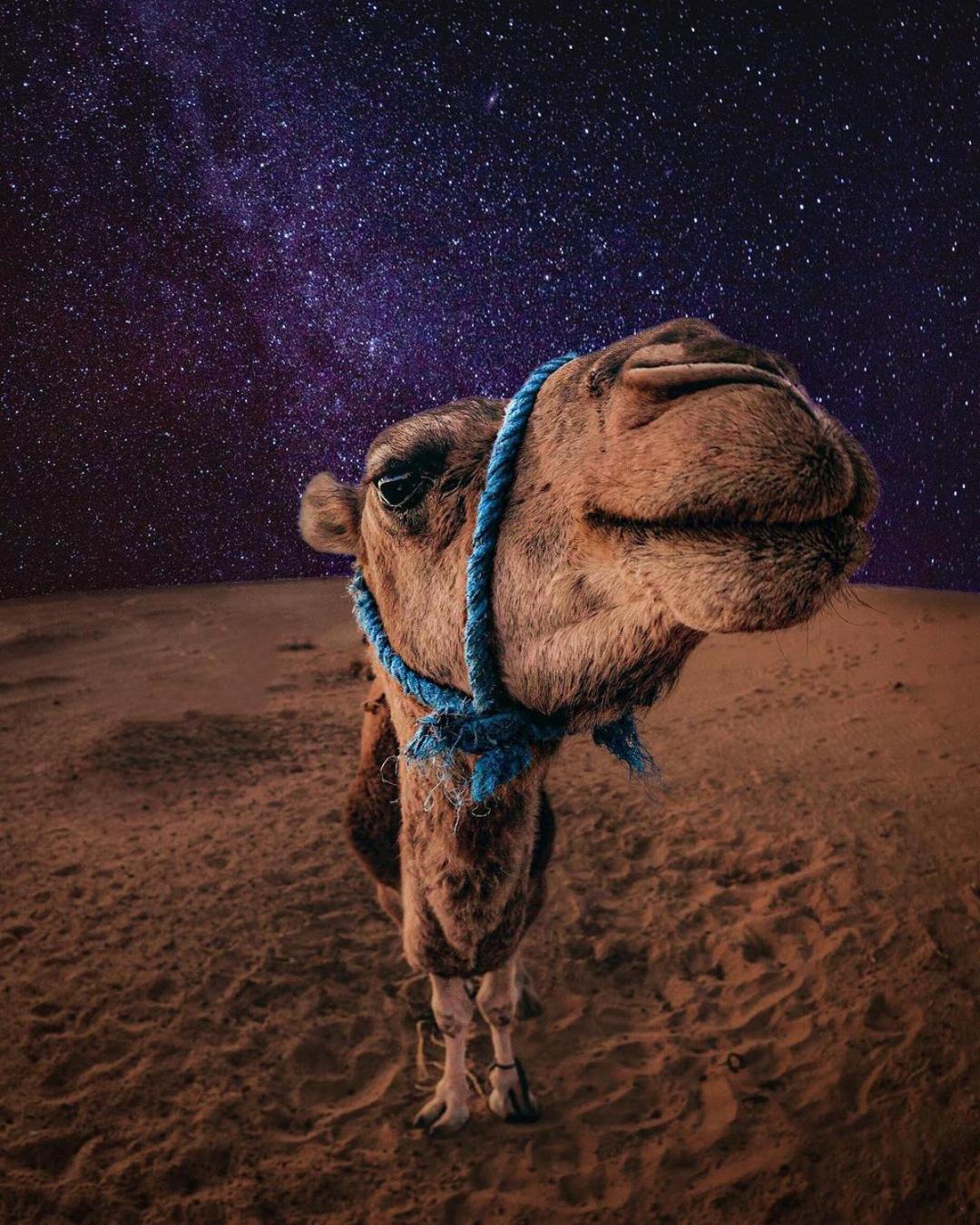 Merzouga Luxury Magic Nights ภายนอก รูปภาพ